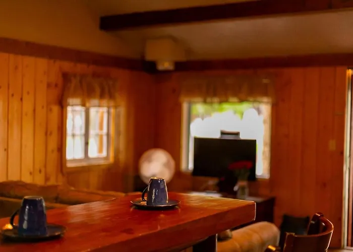 Incredible With Gorgeous Forest Views In Dubois, Wyoming